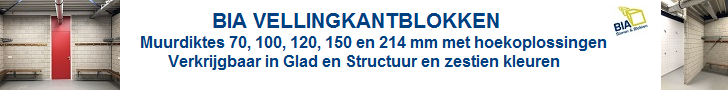 https://www.bia-beton.nl/stenen-en-blokken/lijmen/schoonwerk/vellingkantblokken-hle-v/17